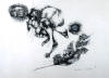 Ezrom LEGAE "Untitled II.", 1981 - pencil crayon on paper (PELMAMA)
