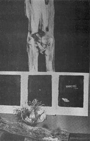Judith MASON "The Crucifix", 1971 - oil/canvas - 122x152 cm (complete installation)