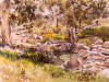 Durant SIHLALI "Juskei River, Sandton", 1981 - watercolour - 55x72 cm