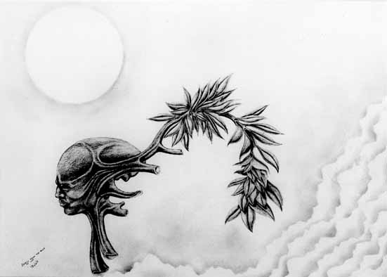 FIKILE "Branch from the tree of Life", 1979 - pencil on paper - 36x53 cm (PELMAMA)