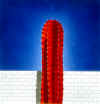 Norman CATHERINE "Red Cactus I.", 1978  - airbrush - 028x027 cm (PELMAMA) © Norman CATHERINE