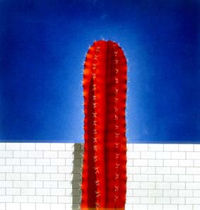 Norman CATHERINE "Red Cactus I.", 1978  - airbrush - 028x027 cm (PELMAMA) © Norman CATHERINE